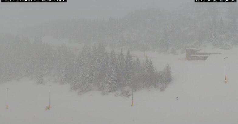 Webcam Monte Bondone - Bondone Diagonale Montesel