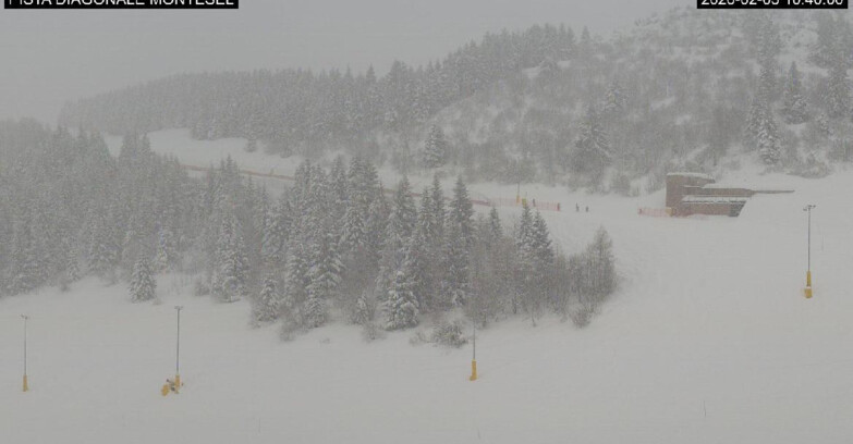 Webcam Монте-Бондоне  - Bondone Diagonale Montesel