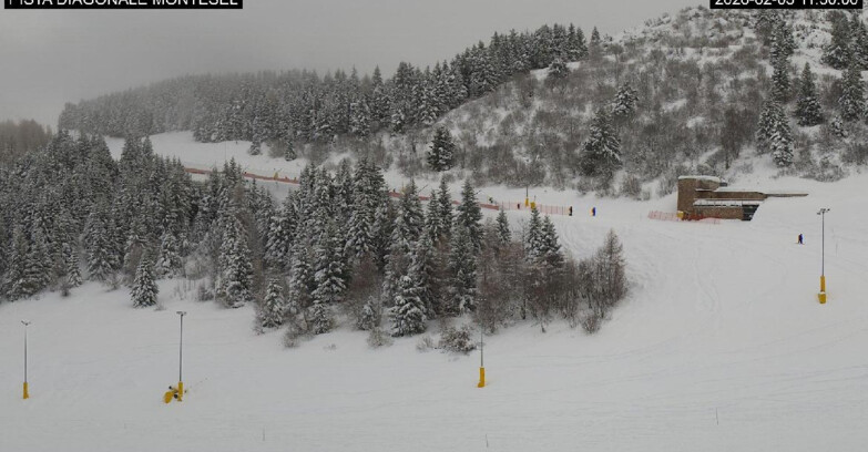 Webcam Monte Bondone - Bondone Diagonale Montesel