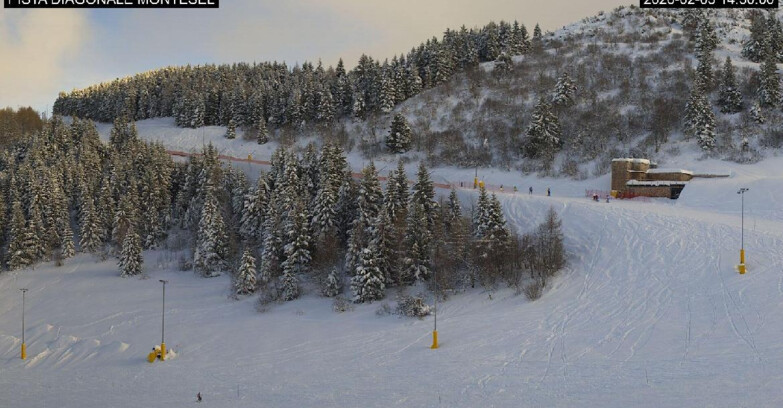 Webcam Monte Bondone - Bondone Diagonale Montesel