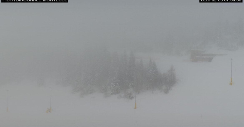 Webcam Monte Bondone - Bondone Diagonale Montesel