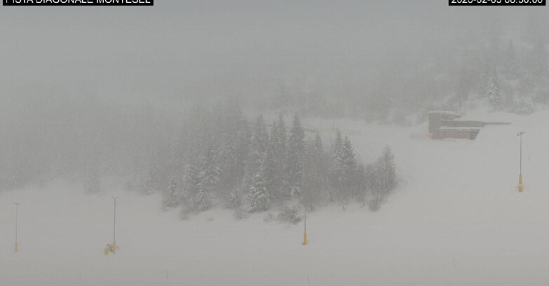 Webcam Monte Bondone - Bondone Diagonale Montesel