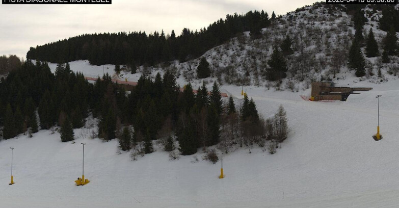 Webcam Монте-Бондоне  - Bondone Diagonale Montesel