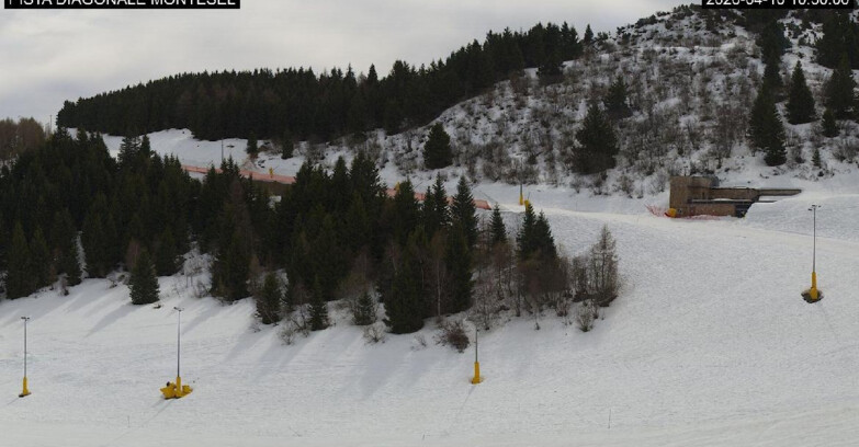 Webcam Монте-Бондоне  - Bondone Diagonale Montesel