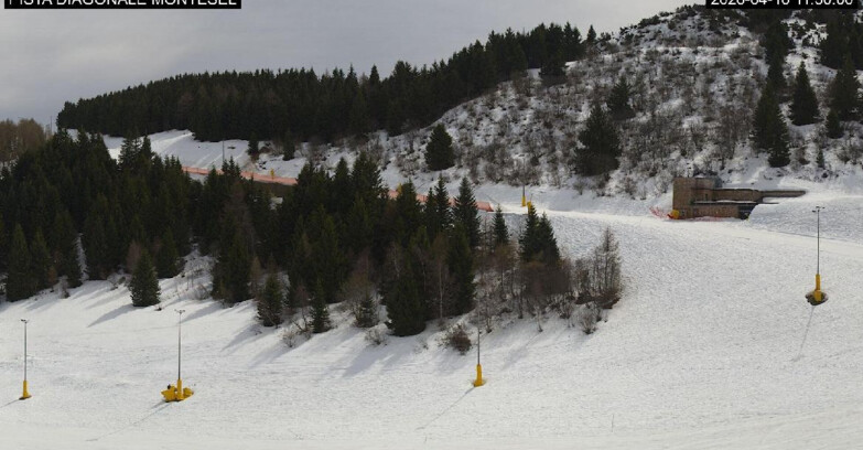 Webcam Монте-Бондоне  - Bondone Diagonale Montesel