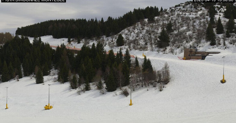 Webcam Монте-Бондоне  - Bondone Diagonale Montesel