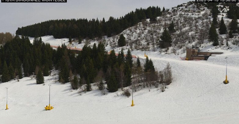 Webcam Монте-Бондоне  - Bondone Diagonale Montesel