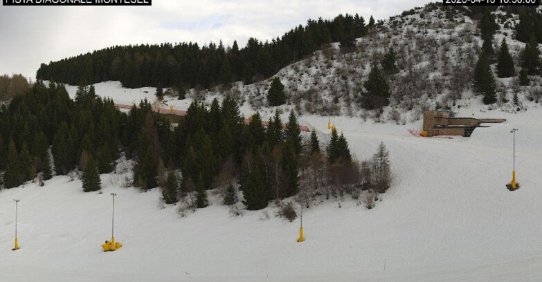 Webcam Монте-Бондоне  - Bondone Diagonale Montesel