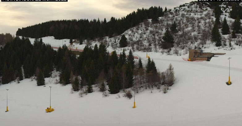 Webcam Монте-Бондоне  - Bondone Diagonale Montesel