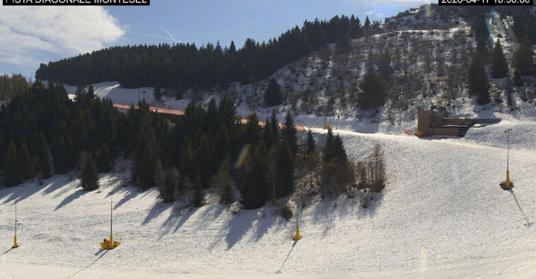 Webcam Monte Bondone - Bondone Diagonale Montesel