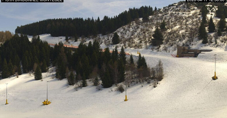 Webcam Monte Bondone - Bondone Diagonale Montesel