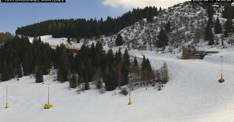Webcam Monte Bondone - Bondone Diagonale Montesel