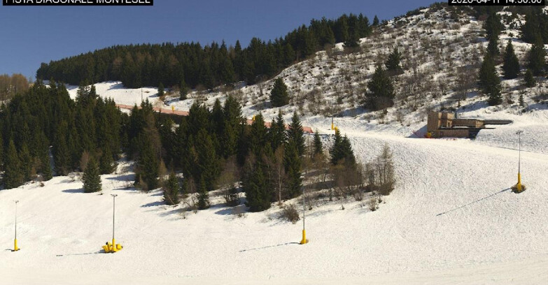 Webcam Monte Bondone - Bondone Diagonale Montesel