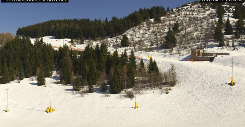 Webcam Monte Bondone - Bondone Diagonale Montesel