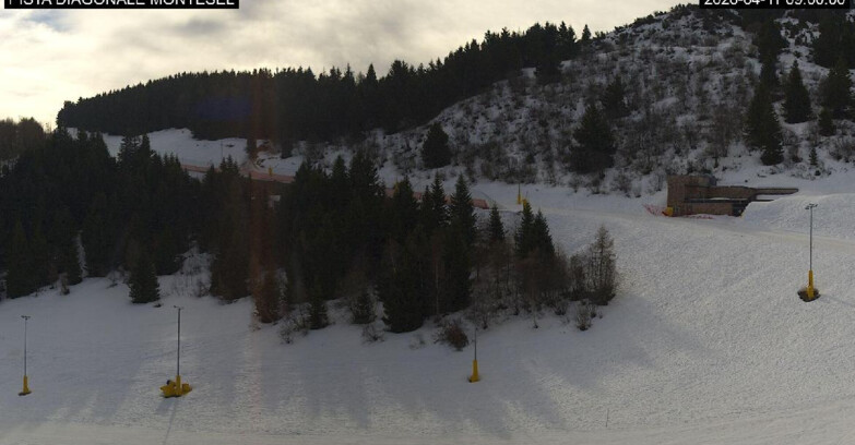 Webcam Monte Bondone - Bondone Diagonale Montesel