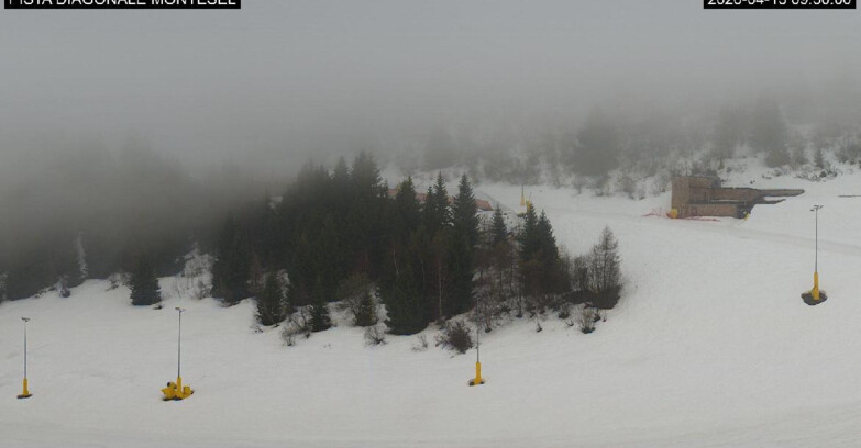 Webcam Monte Bondone - Bondone Diagonale Montesel