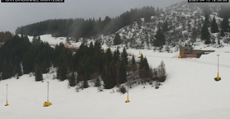 Webcam Monte Bondone - Bondone Diagonale Montesel