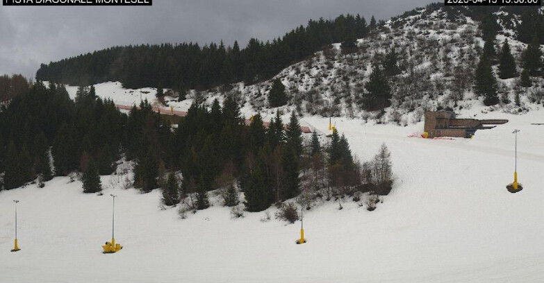 Webcam Monte Bondone - Bondone Diagonale Montesel