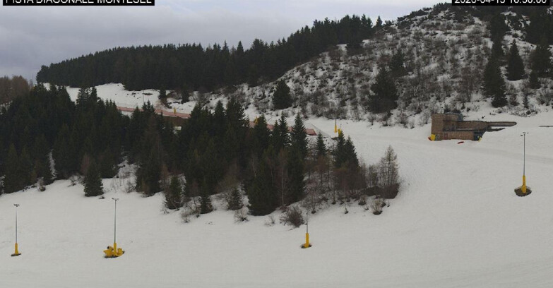 Webcam Monte Bondone - Bondone Diagonale Montesel