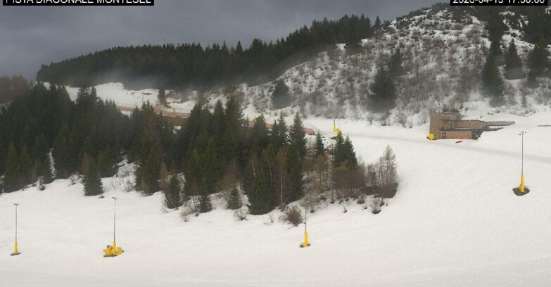 Webcam Monte Bondone - Bondone Diagonale Montesel