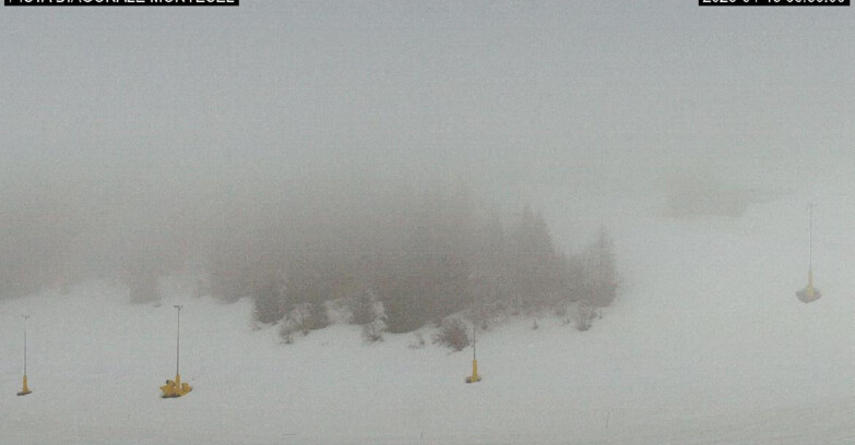 Webcam Monte Bondone - Bondone Diagonale Montesel