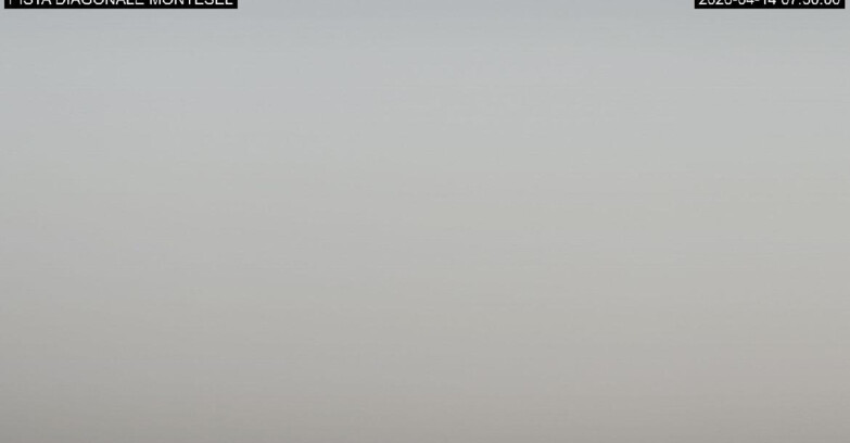 Webcam Monte Bondone - Bondone Diagonale Montesel