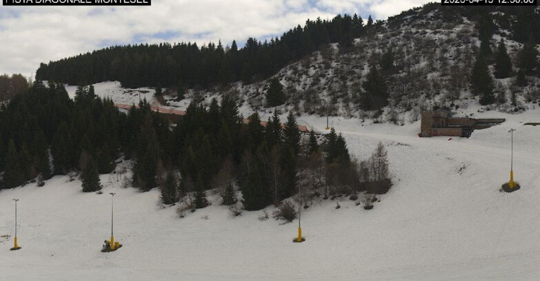Webcam Monte Bondone - Bondone Diagonale Montesel