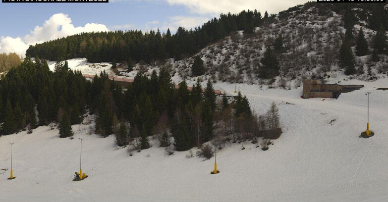 Webcam Monte Bondone - Bondone Diagonale Montesel
