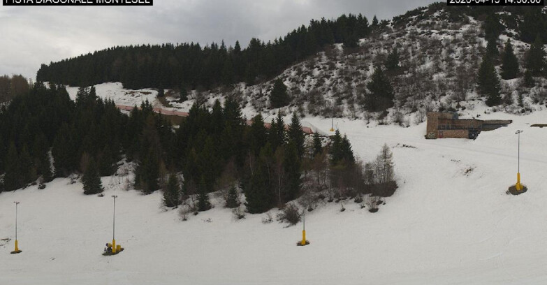 Webcam Monte Bondone - Bondone Diagonale Montesel