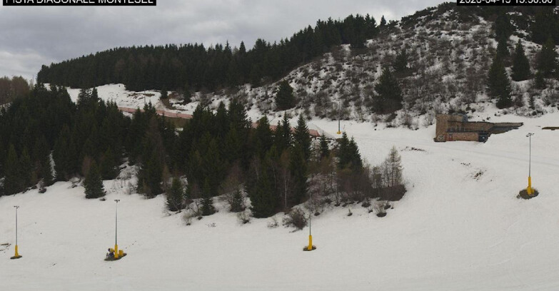 Webcam Monte Bondone - Bondone Diagonale Montesel