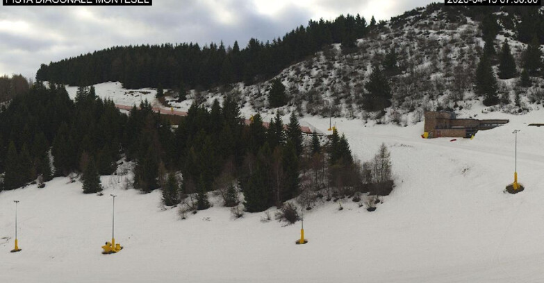 Webcam Monte Bondone - Bondone Diagonale Montesel