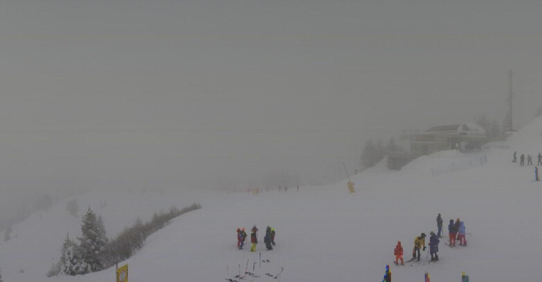 Webcam Ski area Campiglio Dolomiti di Brenta Val di Sole Val Rendena - Seggiovia Malghette 