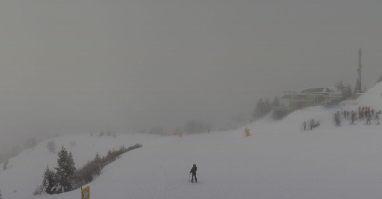 Webcam Ski area Campiglio Dolomiti di Brenta Val di Sole Val Rendena - Seggiovia Malghette 