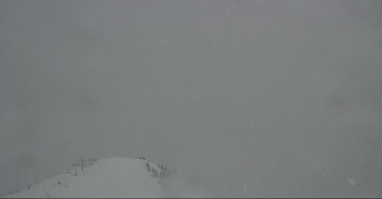 Webcam Поцца-ди-Фасса-Алок-Буффор  - Cabinovia Buffaure - Stazione a Monte