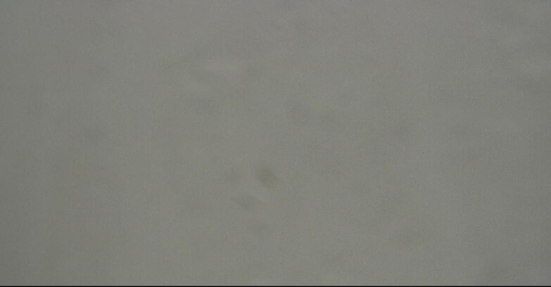 Webcam Поцца-ди-Фасса-Алок-Буффор  - Cabinovia Buffaure - Stazione a Monte