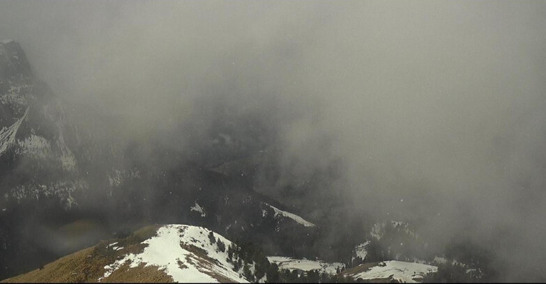 Webcam Поцца-ди-Фасса-Алок-Буффор  - Cabinovia Buffaure - Stazione a Monte