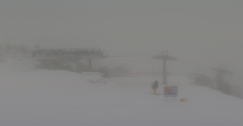 Webcam Skiarea Campiglio Dolomiti di Brenta Val di Sole Val Rendena - Seggiovia Orso Bruno 