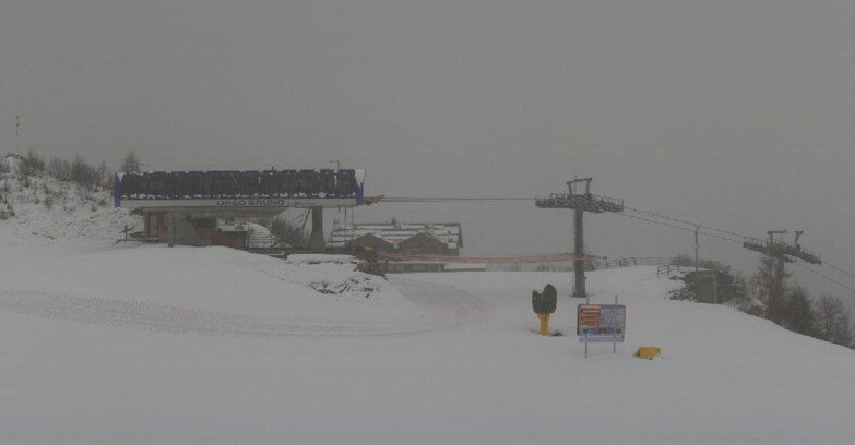 Webcam Skiarea Campiglio Dolomiti di Brenta Val di Sole Val Rendena - Seggiovia Orso Bruno 