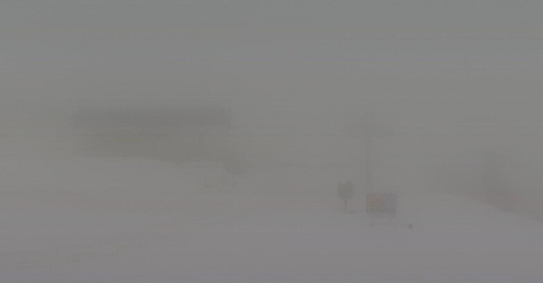 Webcam Skiarea Campiglio Dolomiti di Brenta Val di Sole Val Rendena - Seggiovia Orso Bruno 