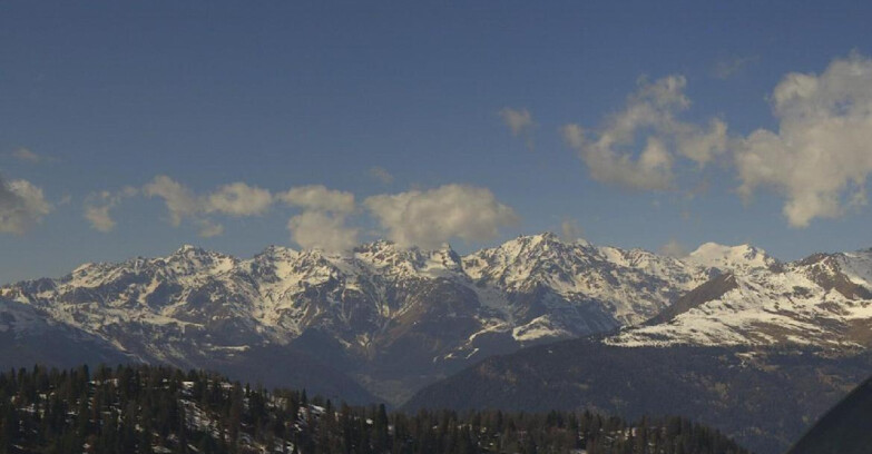 Webcam Ski area Campiglio Dolomiti di Brenta Val di Sole Val Rendena - Gruppo Ortles Cevedale 