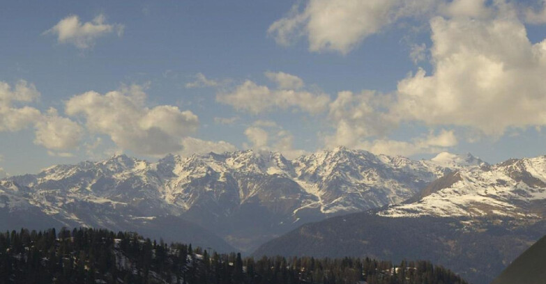 Webcam Skiarea Campiglio Dolomiti di Brenta Val di Sole Val Rendena - Gruppo Ortles Cevedale 