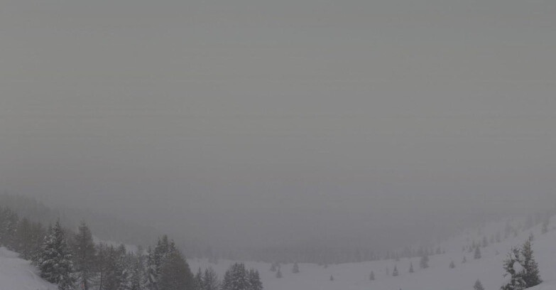 Webcam Folgarida-Marilleva  (Skiarea Campiglio Dolomiti di Brenta - Val di Sole Val Rendena) - Dolomiti di Brenta - Marilleva