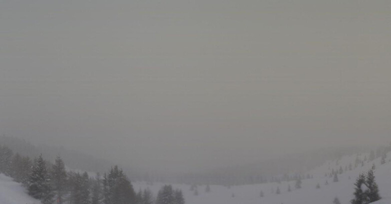 Webcam Folgarida-Marilleva  (Skiarea Campiglio Dolomiti di Brenta - Val di Sole Val Rendena) - Dolomiti di Brenta - Marilleva