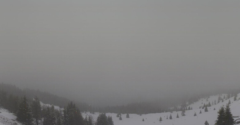 Webcam Folgarida-Marilleva  (Skiarea Campiglio Dolomiti di Brenta - Val di Sole Val Rendena) - Dolomiti di Brenta - Marilleva