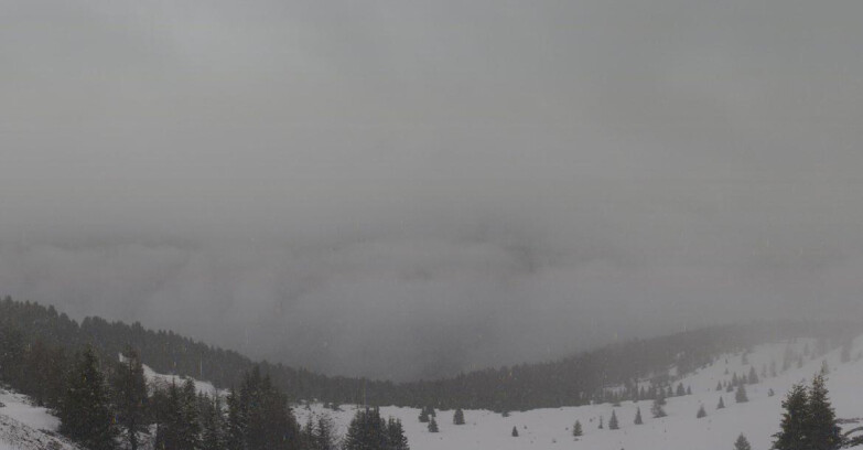 Webcam Folgarida-Marilleva  (Skiarea Campiglio Dolomiti di Brenta - Val di Sole Val Rendena) - Dolomiti di Brenta - Marilleva