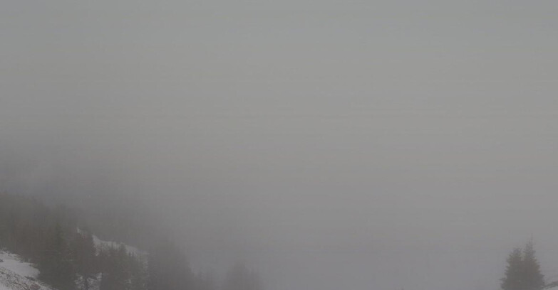 Webcam Folgarida-Marilleva  (Skiarea Campiglio Dolomiti di Brenta - Val di Sole Val Rendena) - Dolomiti di Brenta - Marilleva