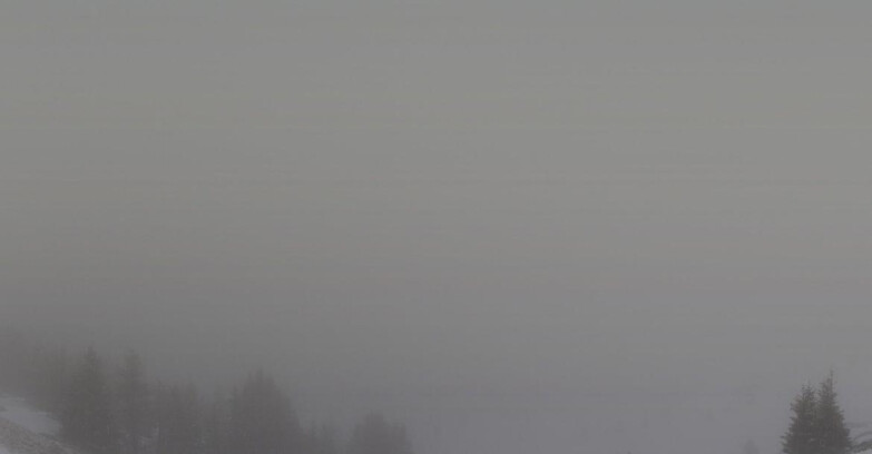 Webcam Folgarida-Marilleva  (Skiarea Campiglio Dolomiti di Brenta - Val di Sole Val Rendena) - Dolomiti di Brenta - Marilleva