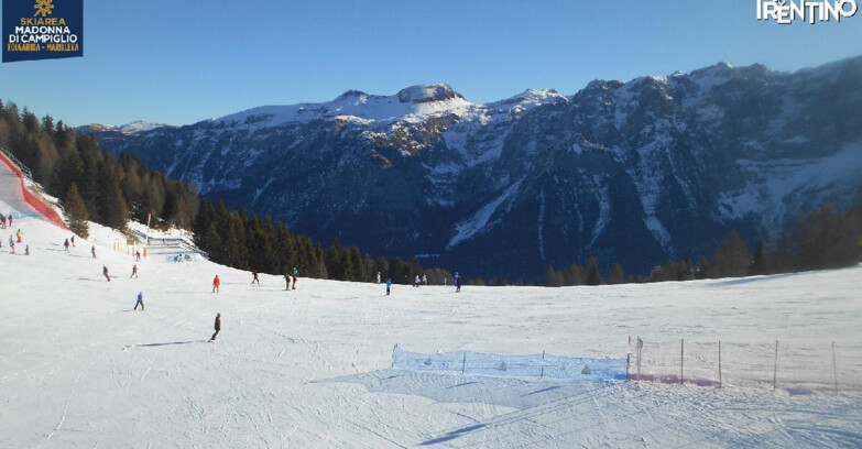 Webcam Ski area Campiglio Dolomiti di Brenta Val di Sole Val Rendena - Pista delle Rocce - Folgarida