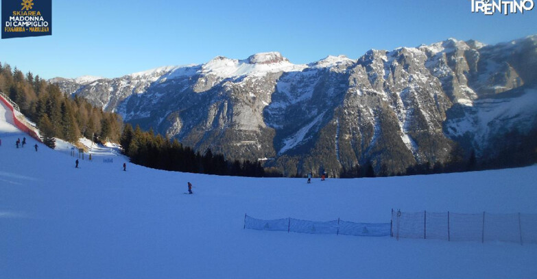 Webcam Ski area Campiglio Dolomiti di Brenta Val di Sole Val Rendena - Pista delle Rocce - Folgarida