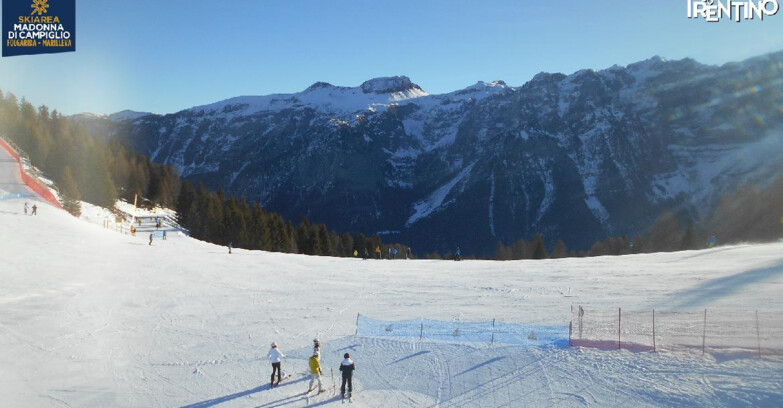 Webcam Ski area Campiglio Dolomiti di Brenta Val di Sole Val Rendena - Pista delle Rocce - Folgarida